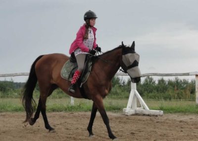 oboz-konie-2016-6-2-0164