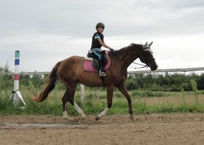 oboz-konie-2016-6-2-0171