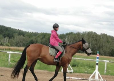 oboz-konie-2016-6-2-0178