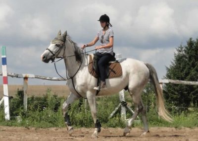 oboz-konie-2016-6-4-0005