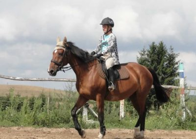 oboz-konie-2016-6-4-0006