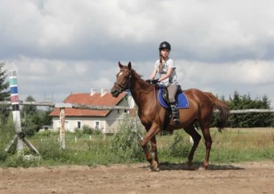 oboz-konie-2016-6-4-0011