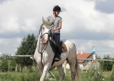 oboz-konie-2016-6-4-0013
