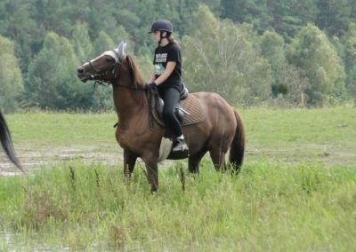 oboz-konie-2016-6-4-0075