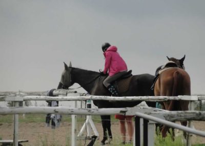oboz-konie-2016-6-5-0003
