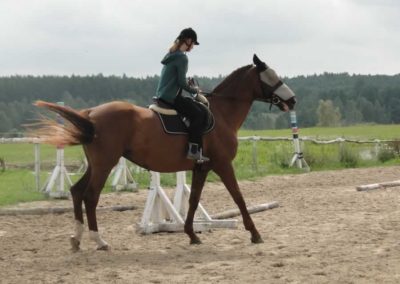 oboz-konie-2016-6-5-0009