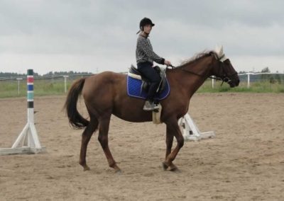 oboz-konie-2016-6-5-0017