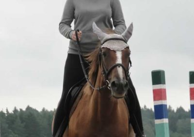 oboz-konie-2016-6-5-0040