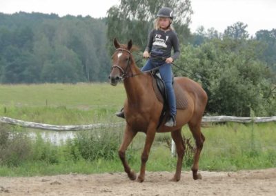 oboz-konie-2016-6-5-0046