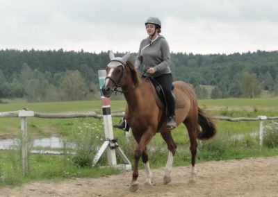 oboz-konie-2016-6-5-0051