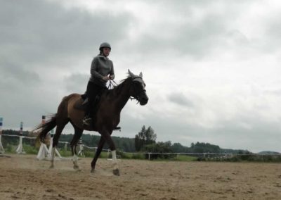 oboz-konie-2016-6-5-0071