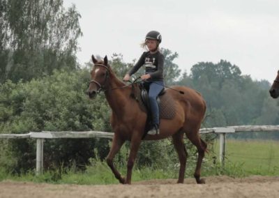 oboz-konie-2016-6-5-0072
