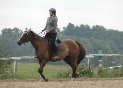 oboz-konie-2016-6-5-0075