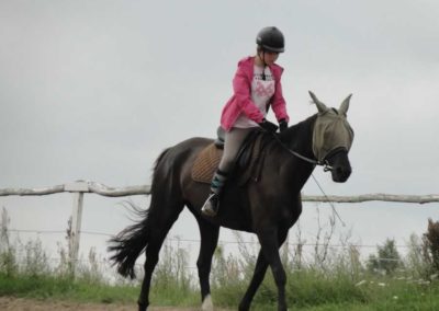 oboz-konie-2016-6-5-0078