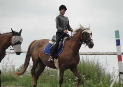 oboz-konie-2016-6-5-0079