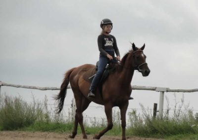 oboz-konie-2016-6-5-0090