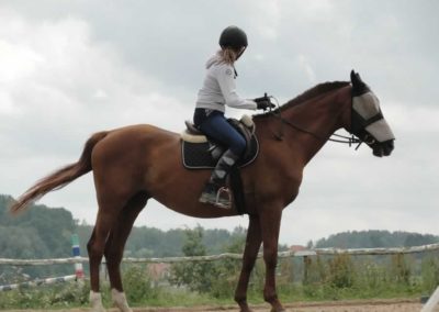 oboz-konie-2016-6-5-0125