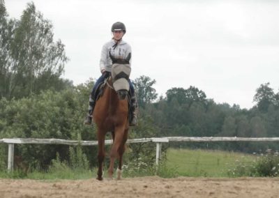 oboz-konie-2016-6-5-0143