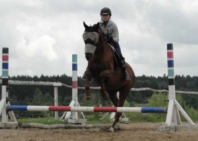 oboz-konie-2016-6-5-0149