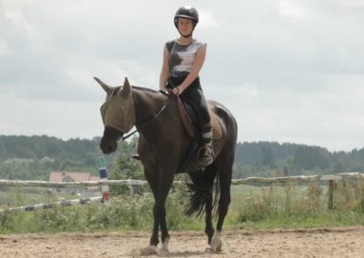 oboz-konie-2016-6-5-0167
