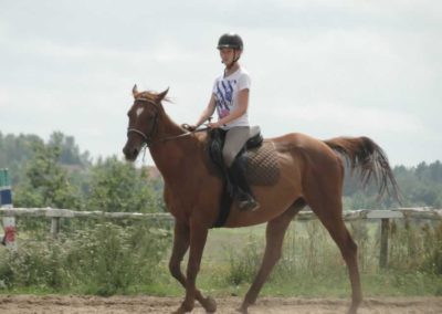 oboz-konie-2016-6-5-0178