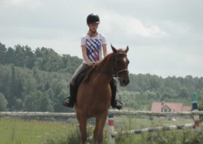 oboz-konie-2016-6-5-0179