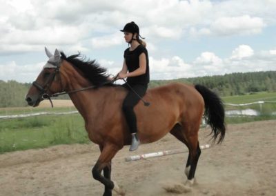 oboz-konie-2016-6-5-0185