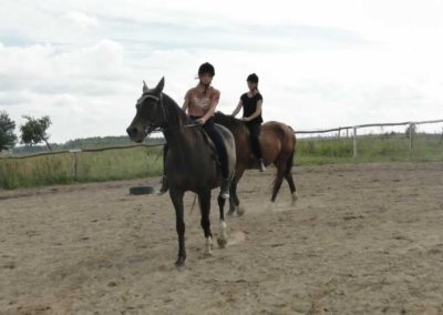 oboz-konie-2016-6-5-0195