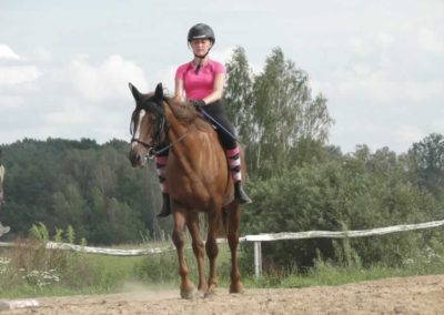 oboz-konie-2016-6-5-0241