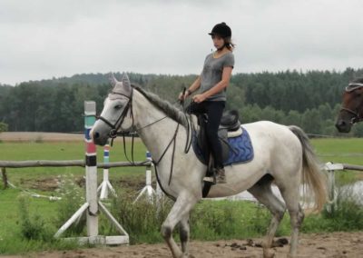oboz-konie-2016-6-7-0001