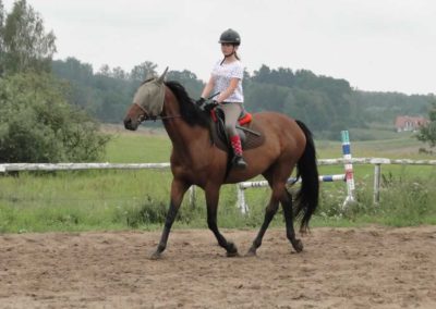 oboz-konie-2016-6-7-0005
