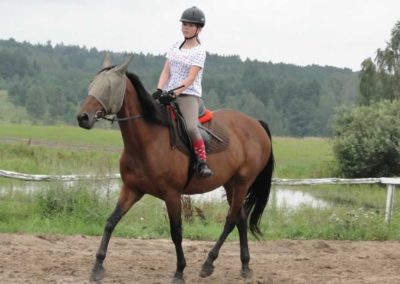 oboz-konie-2016-6-7-0006
