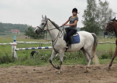 oboz-konie-2016-6-7-0008
