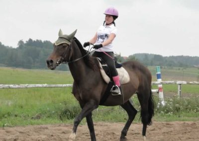 oboz-konie-2016-6-7-0011