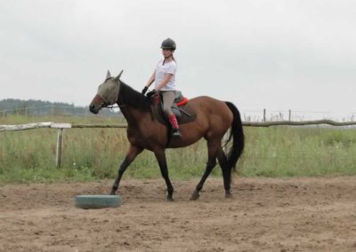 oboz-konie-2016-6-7-0014