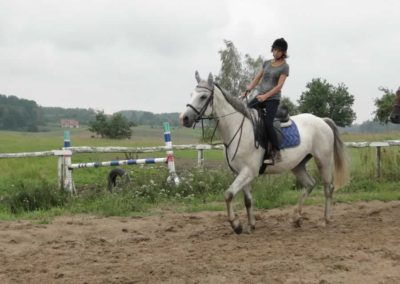 oboz-konie-2016-6-7-0017