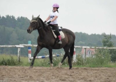 oboz-konie-2016-6-7-0049