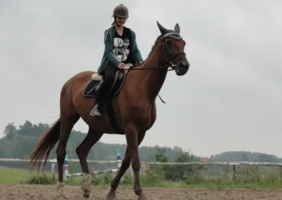 oboz-konie-2016-6-7-0056