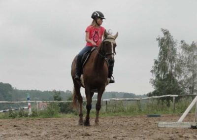 oboz-konie-2016-6-7-0079