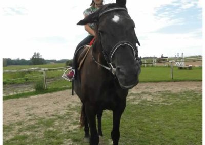 oboz-konie-2016-7-2-0002
