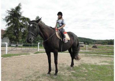 oboz-konie-2016-7-2-0008