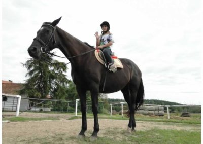 oboz-konie-2016-7-2-0009