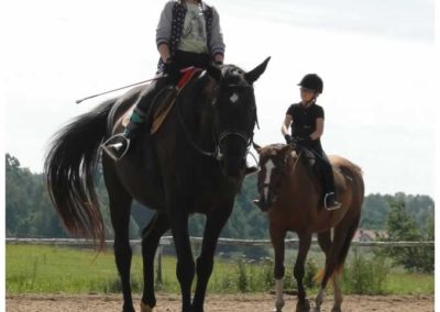 oboz-konie-2016-7-2-0043