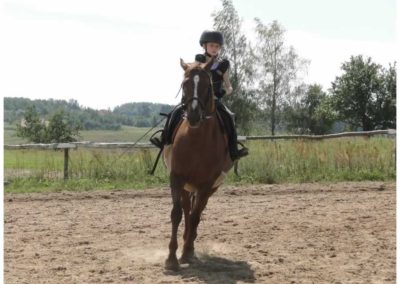 oboz-konie-2016-7-2-0063