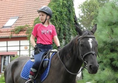 oboz-konie-2016-7-3-0005