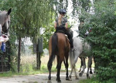 oboz-konie-2016-7-3-0028