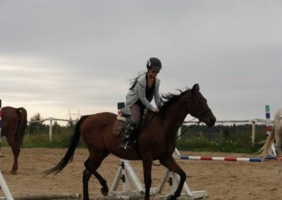 oboz-konie-2016-7-3-0062