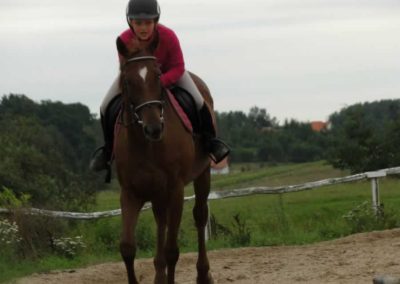 oboz-konie-2016-7-3-0070