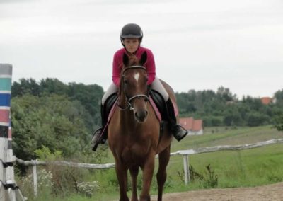 oboz-konie-2016-7-3-0071