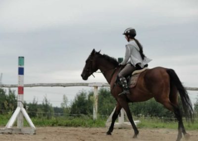 oboz-konie-2016-7-3-0078